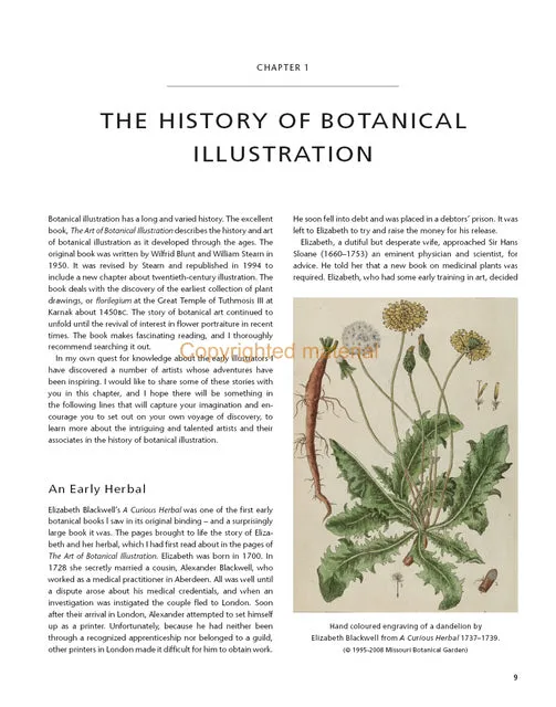 Botanical Illustration