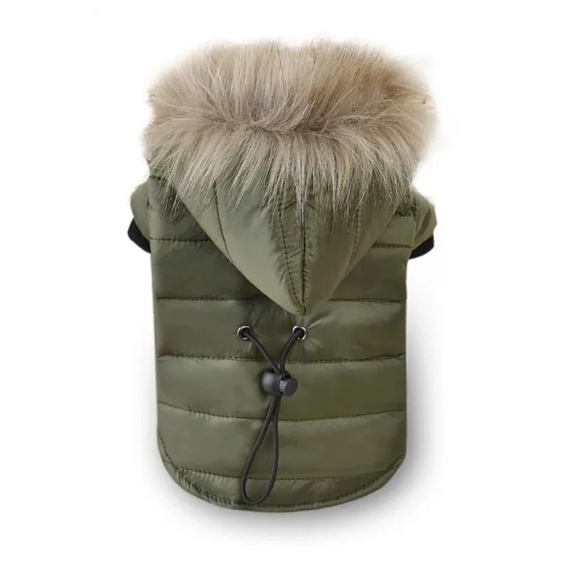 Fashionable Hooded Pet Jacket