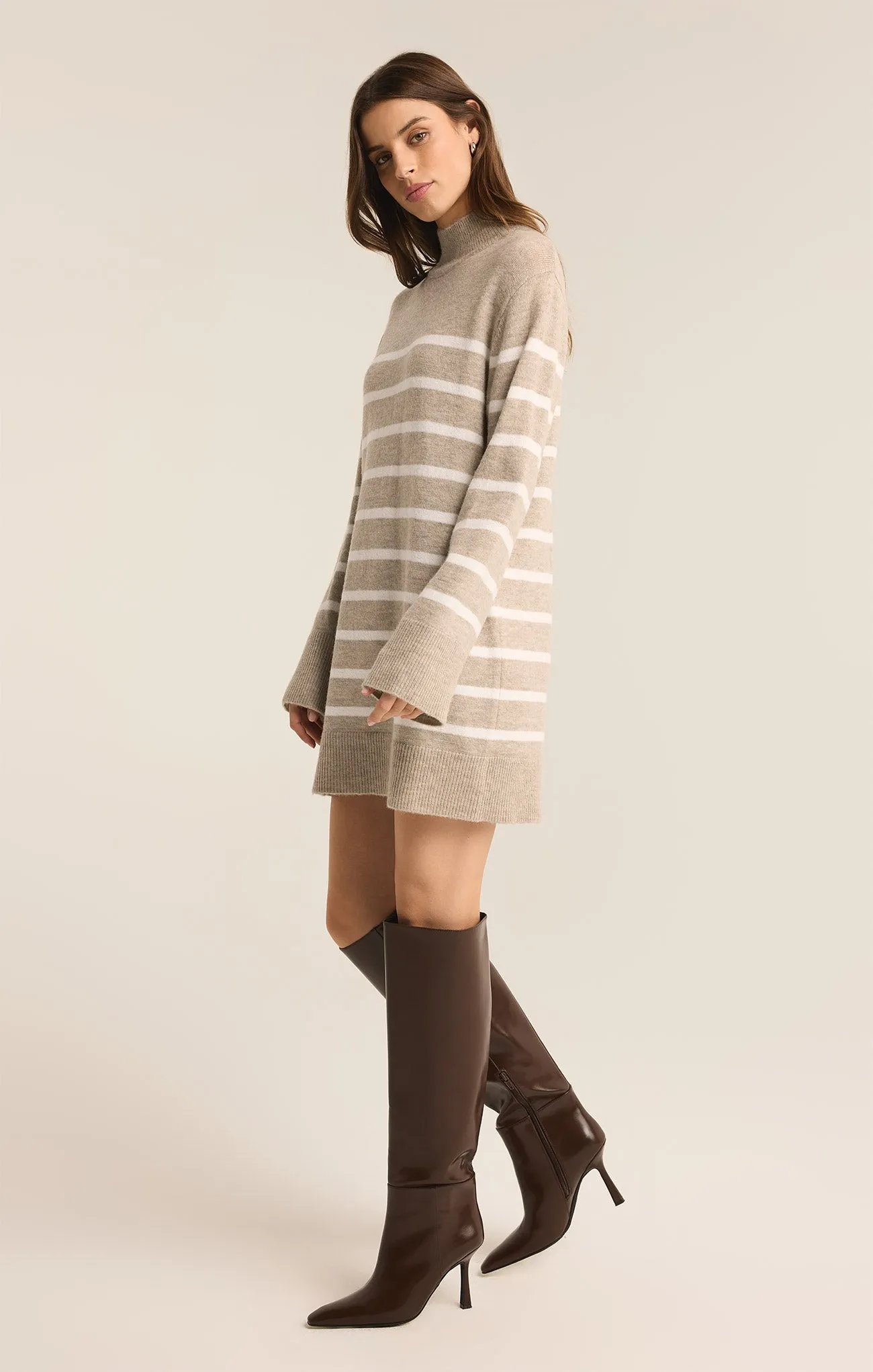 Fin Stripe Turtleneck Sweater Mini Dress