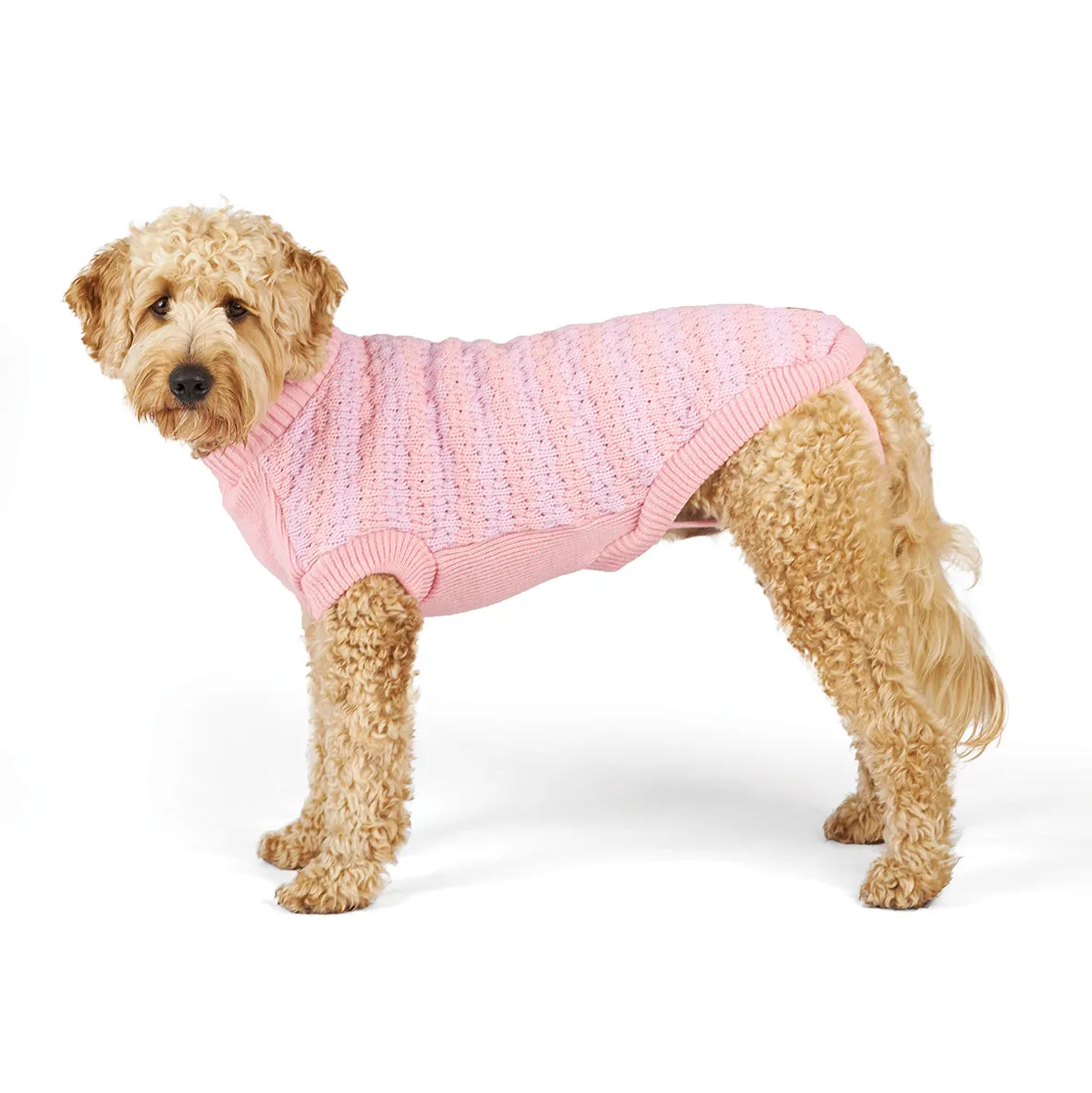 Kazoo Apparel Posy Dog Jumper Intermediate Medium***