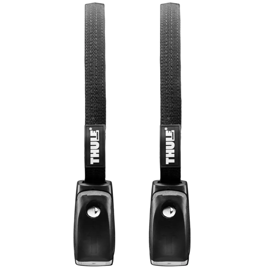 Locking Straps (10')