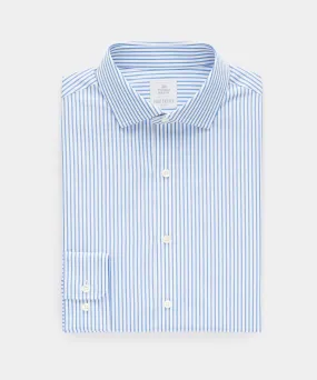 Pencil Stripe Spread Collar Dress Shirt in Blue